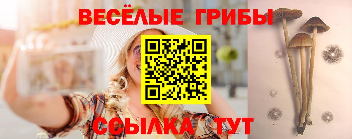 Янаул  Псилоцибиновые грибы ЛСД  Вход с VPN 