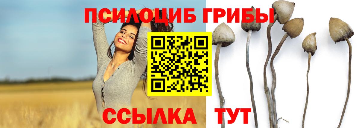 Бошки Шишки Янаул